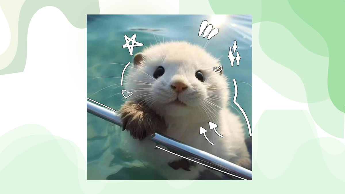 otter