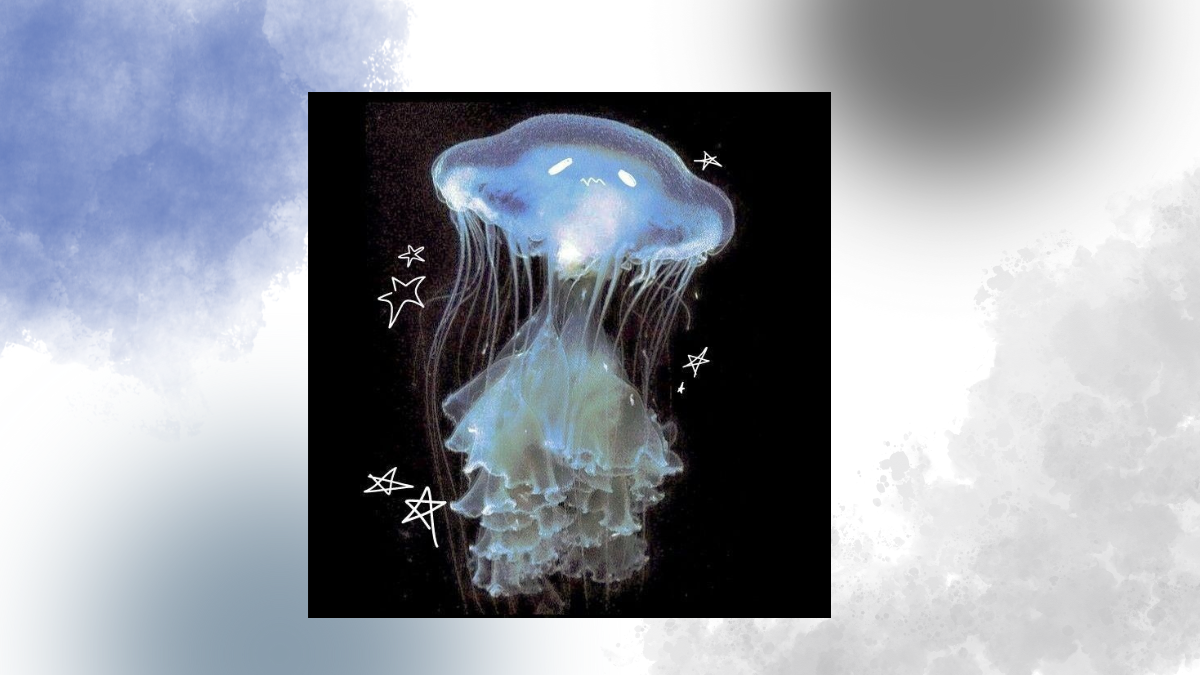 glory jellofish